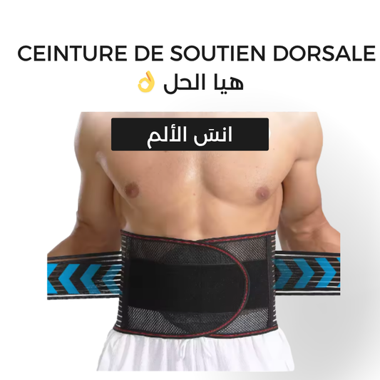 حزام دعم الظهر-Ceinture de soutien dorsale