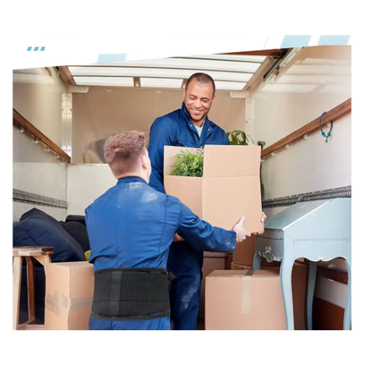 حزام دعم الظهر-Ceinture de soutien dorsale